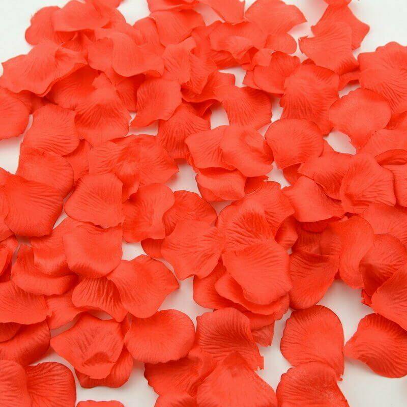 Red Rose petal